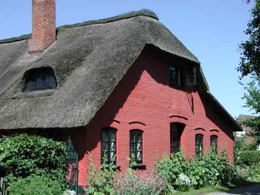 Reetgedecktes rotes Haus auf der Ostsee Insel Fehmarn